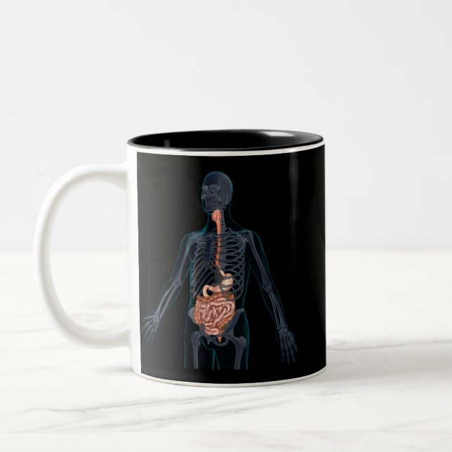 Layout of the human digestive system Two-Tone coffee mug (Left)
