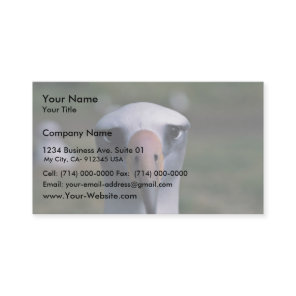 Laysan albatross business card