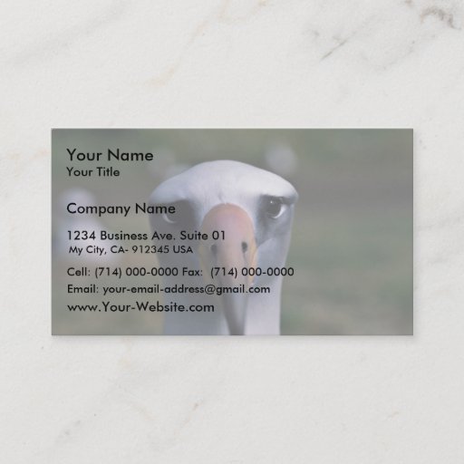 Customizable Laysan albatross business cards