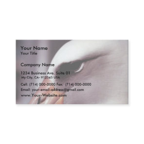 Laysan Albatross Close Up Head Shot Business Card