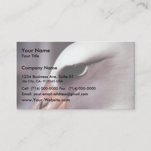 Customizable Laysan Albatross Close Up Head Shot Business Card Template