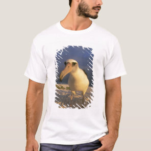 Laysan Albatross, Diomedea immutabilis), T-Shirt