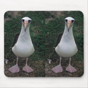 Laysan albatross standing mouse pad