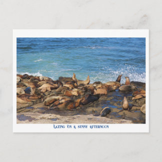 Lazing On A Sunny Afternoon Postcard