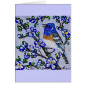 Lazuli Bunting (Front)