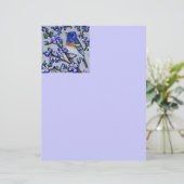 Lazuli Bunting (Standing Front)