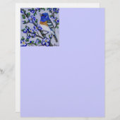 Lazuli Bunting (Front/Back)