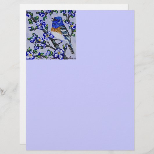 Lazuli Bunting (Front/Back)