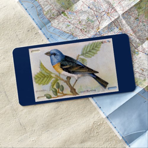 Lazuli Bunting Bird  License Plate