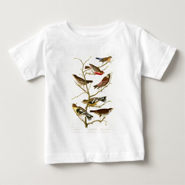 Lazuli Finch John James Audubon Birds of America Baby T-Shirt (Front)