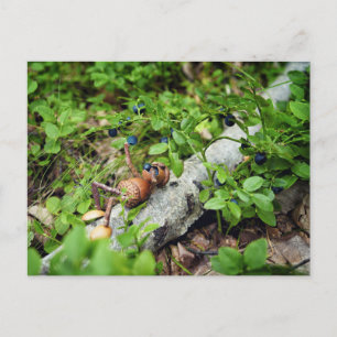 Lazy Acorn elf eating blueberries  Postcard