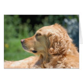 Lazy Afternoon in the Sun (Front Horizontal)