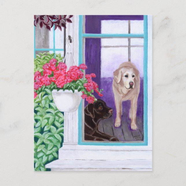 Lazy Afternoon Labradors Painting Postcard (Front)