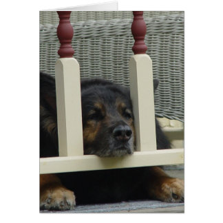Lazy Afternoon Snooze Cards