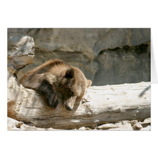 Lazy Bear Cards