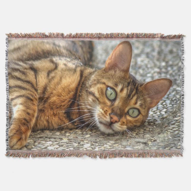 Lazy Bengal Cat Throw Blanket (Front)