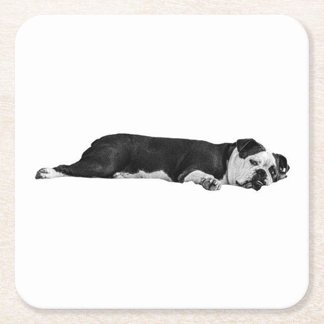 Lazy Bulldog, Neat Table Square Paper Coaster (Front)