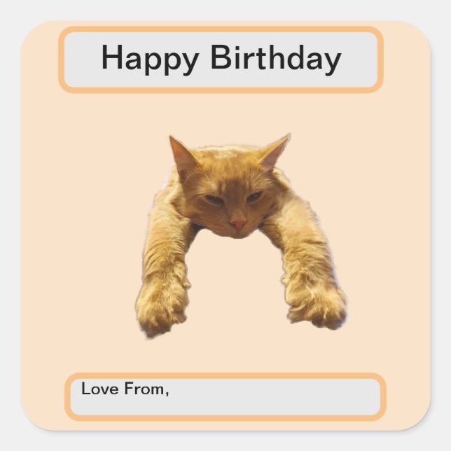 Lazy Cant Be Bothered Fluffy Ginger Cat, Birthday Square Sticker (Front)