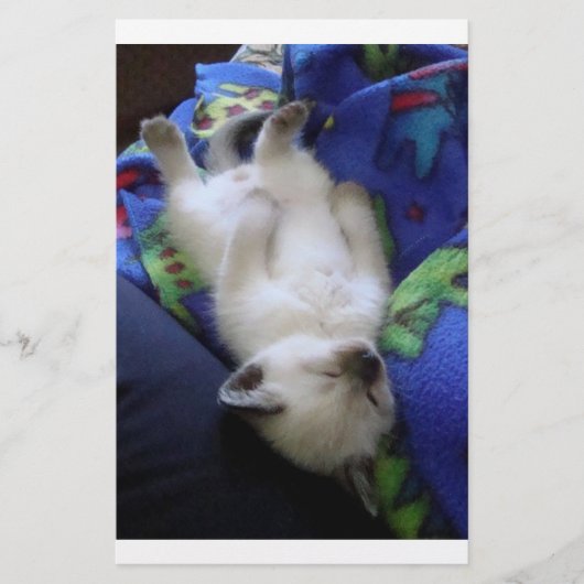 Lazy Cat (Front)