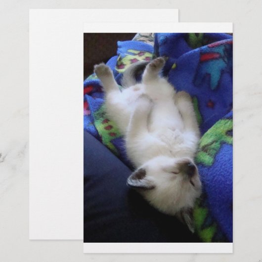 Lazy Cat (Front/Back)