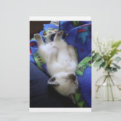 Lazy Cat (Standing Front)