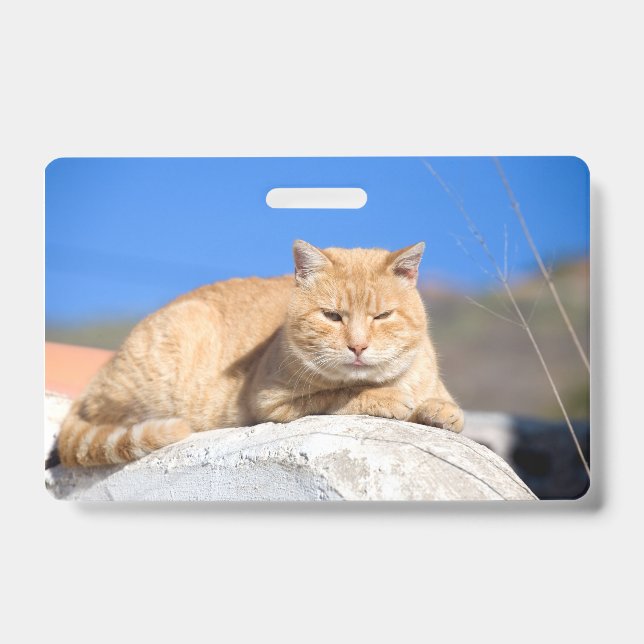 Lazy cat badge (Front)