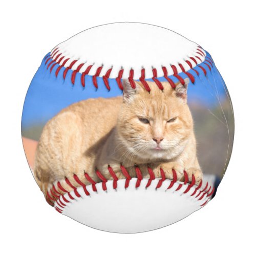 Lazy cat baseball