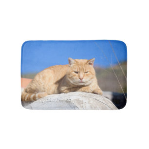 Lazy cat bath mat