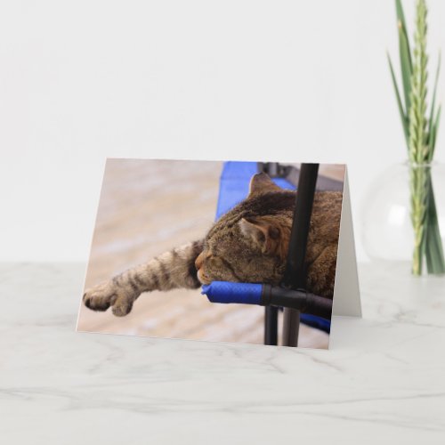 Lazy Cat Dreaming About You Card