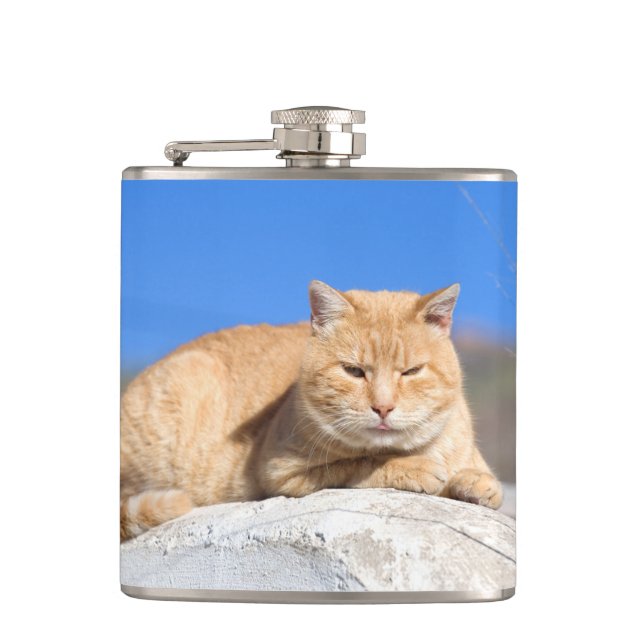 Lazy cat flask (Front)