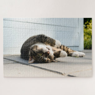 Lazy Cat Lounging on Porch Jigsaw Puzzle