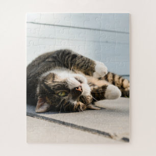 Lazy Cat Lounging on Porch Jigsaw Puzzle