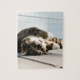 Lazy Cat Lounging on Porch Jigsaw Puzzle