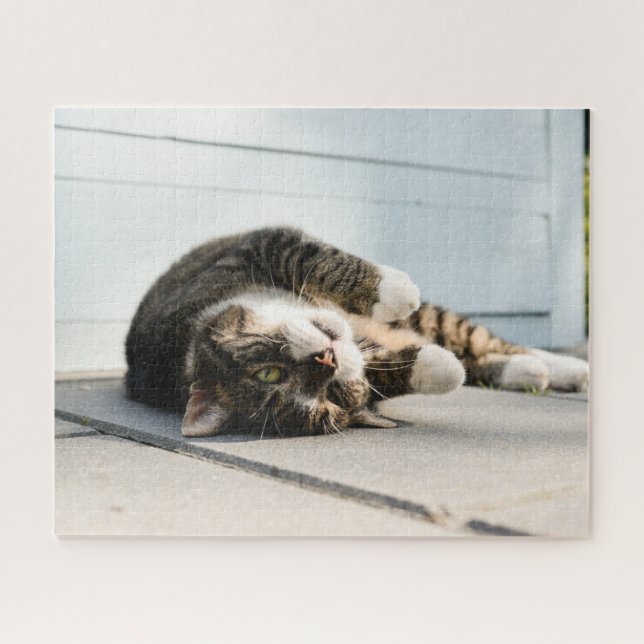 Lazy Cat Lounging on Porch Jigsaw Puzzle (Horizontal)