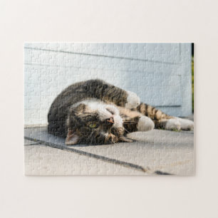 Lazy Cat Lounging on Porch Jigsaw Puzzle
