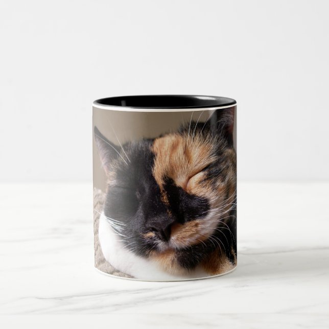 Lazy Cat Mug (Center)