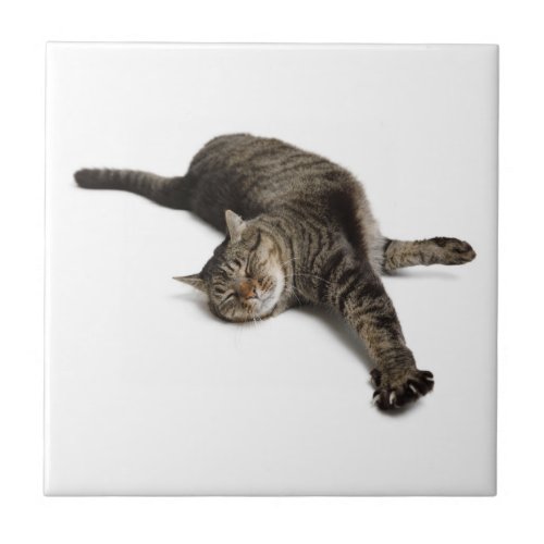 Lazy Cat Stretching Ceramic Tile