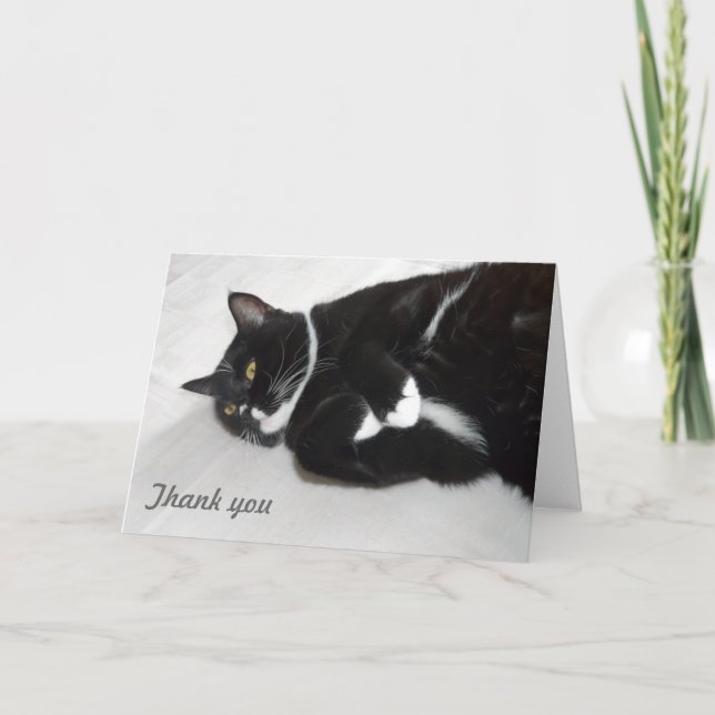 Lazy cat thank you card (Front)