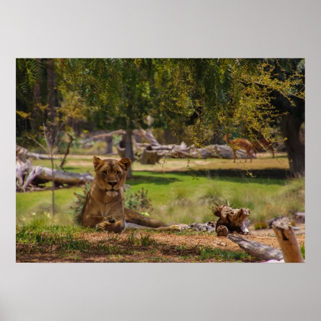 lazy day poster (Front)