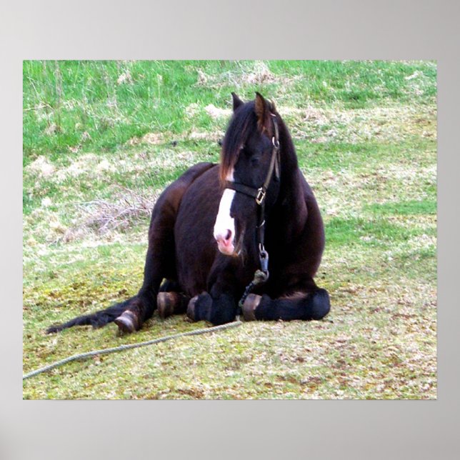 Lazy Days Canvas Poster (Front)