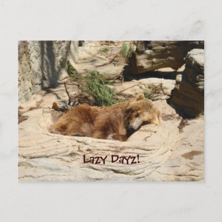 Lazy Dayz Bear Postcard