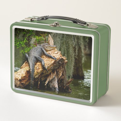 Lazy Gator Cypress Swamp Lunch Box by DeGruy
