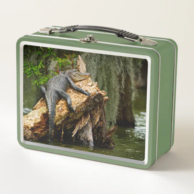Lazy Gator Cypress Swamp Lunch Box by DeGruy | Zazzle