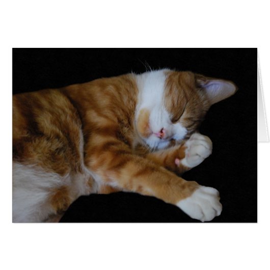 Lazy Ginger Cat Cards (Front Horizontal)