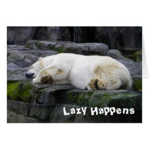 Lazy Happens Polar Bear Cards