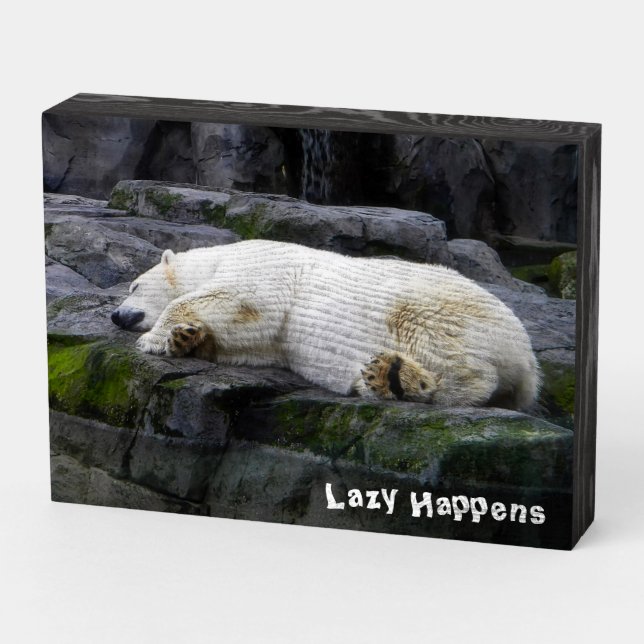 Lazy Happens Polar Bear Wooden Box Sign (Angled Horizontal)