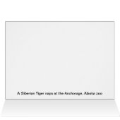 Lazy Happens Siberian Tiger Cards (Inside Horizontal (Top))