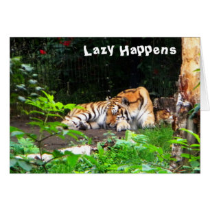 Lazy Happens Siberian Tiger Cards