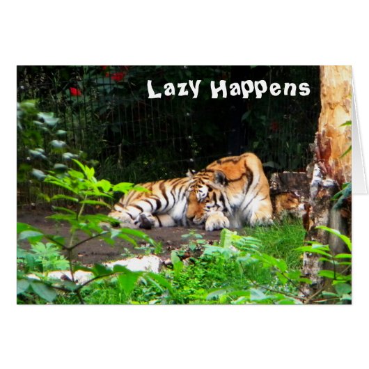 Lazy Happens Siberian Tiger Cards (Front Horizontal)