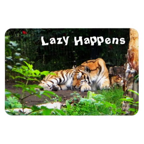 Lazy Happens Siberian Tiger Magnet